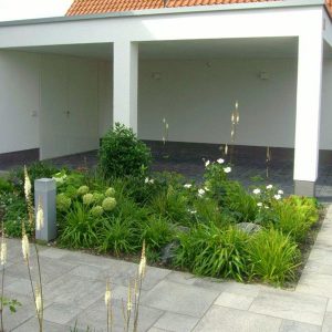 Staudenpflanzung