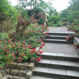 Gestalten mit Naturstein