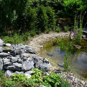 Teich mit Sitzplatz